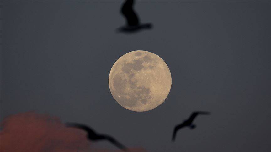 Akrep yeni ayı başlıyor! Kasım ayının dönüştüren enerjisi ortaya çıktı 7